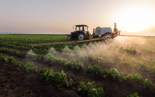 Best Mosquito Control Services  in Helena Flats, MT