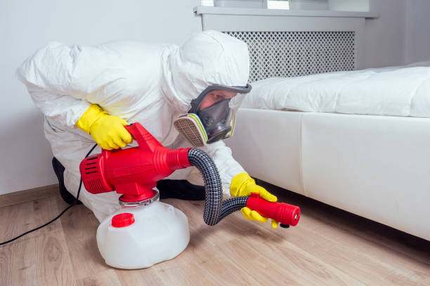 Best Ant Control Services  in Helena Flats, MT