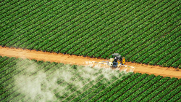 Best Termite Control Services  in Helena Flats, MT